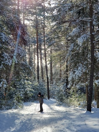 Higley Flow Cross Country Ski Trails, St. Lawrence County, NY